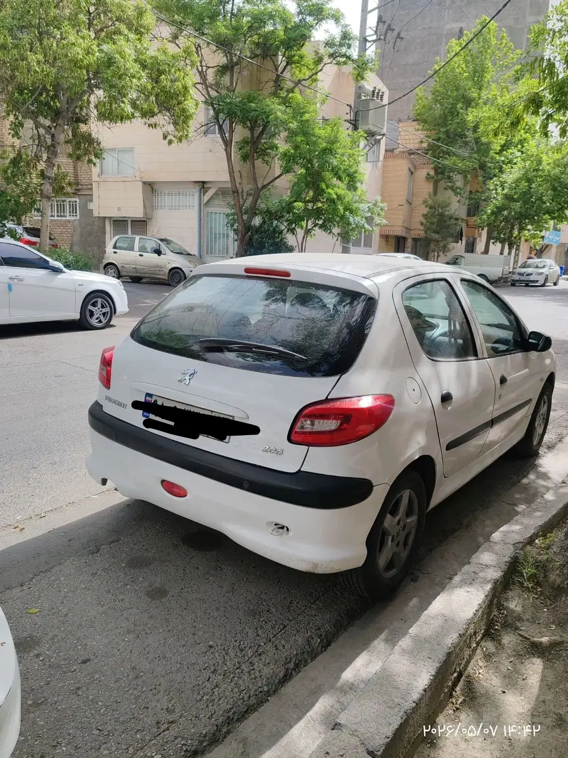 سلام شریک همخونه