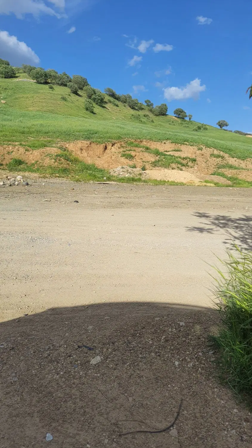 زمین مسکونی روستای بنچله