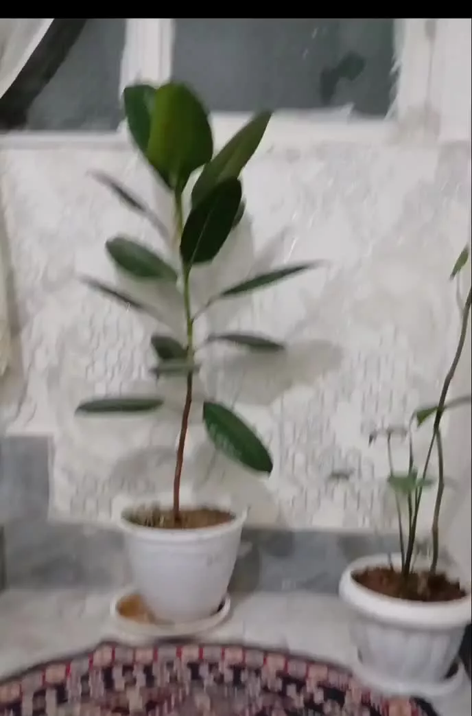 آپارتمان تک واحدی۱۰۰متر
