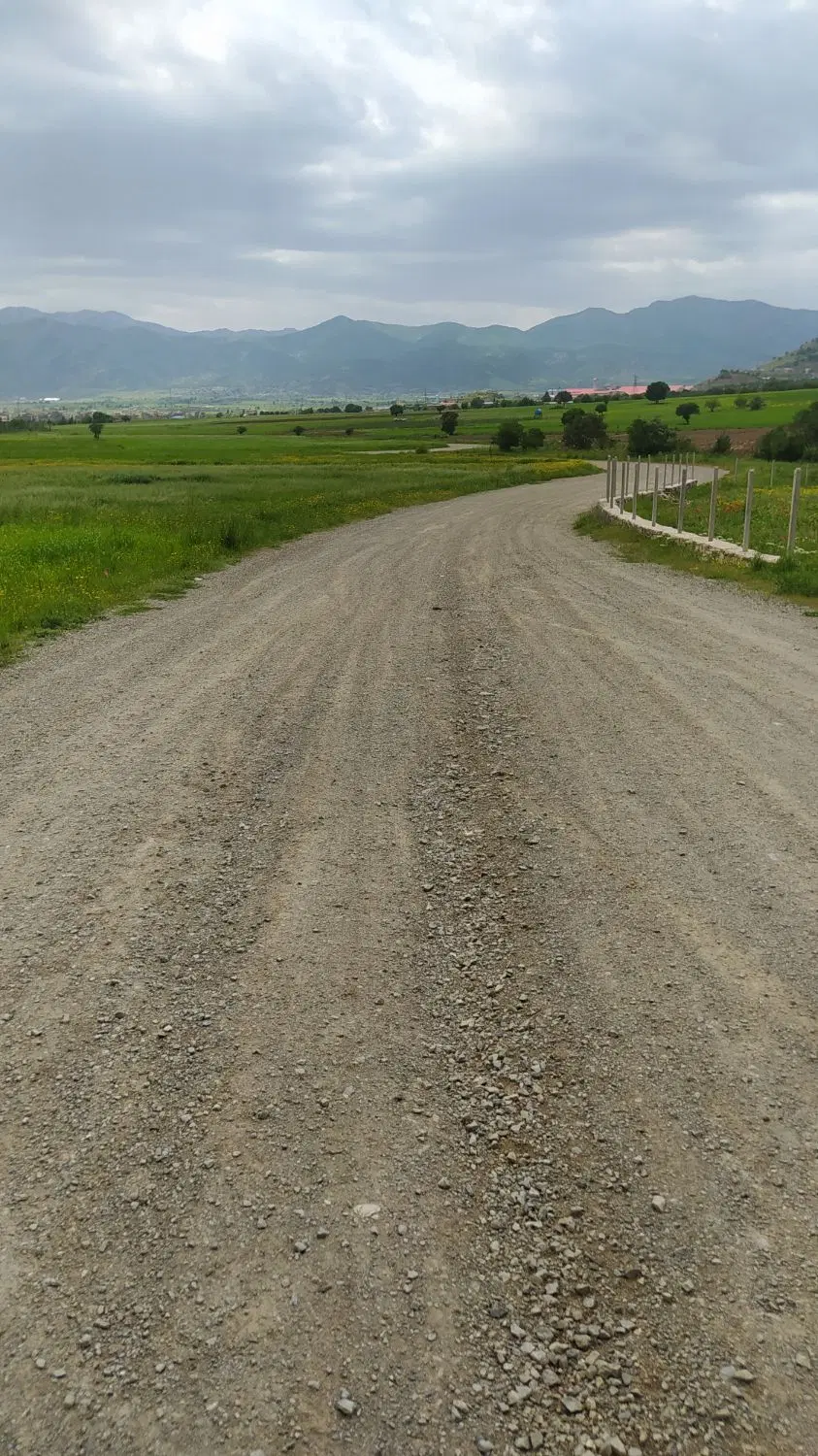 زمین کشاورزی ملا شمسدین جوجه سازی