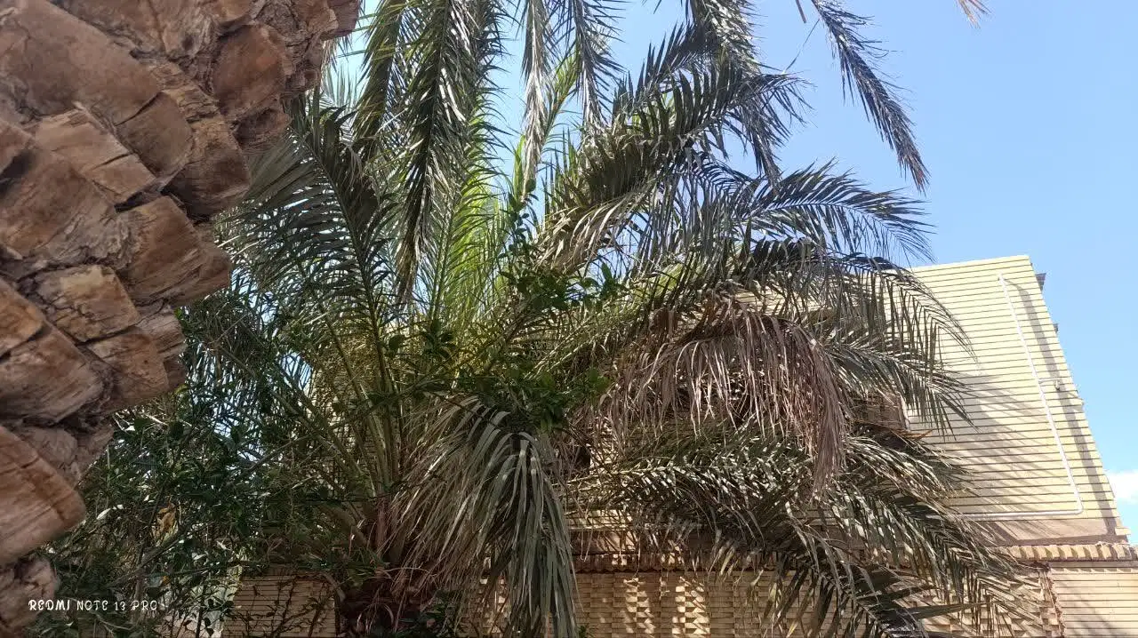 اجاره اپارتمان