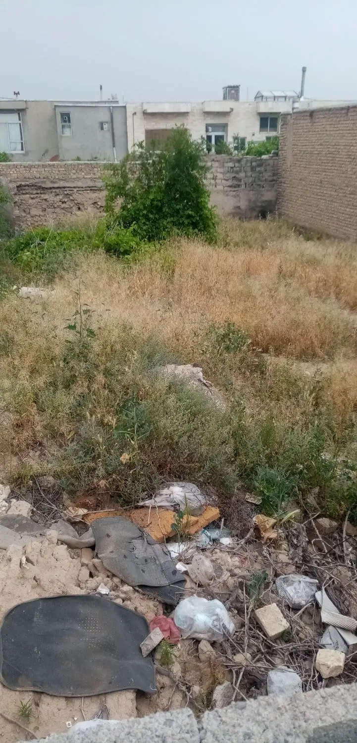 فوری
