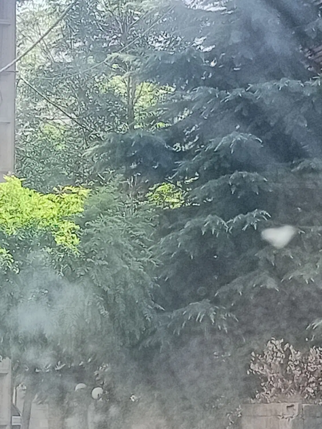ملک ویلایی ۱۰۰۰ متری فشم