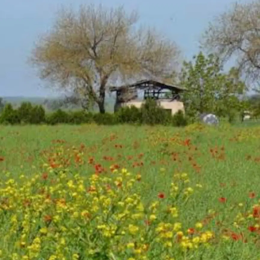 معاوضه زمین با خودرو
