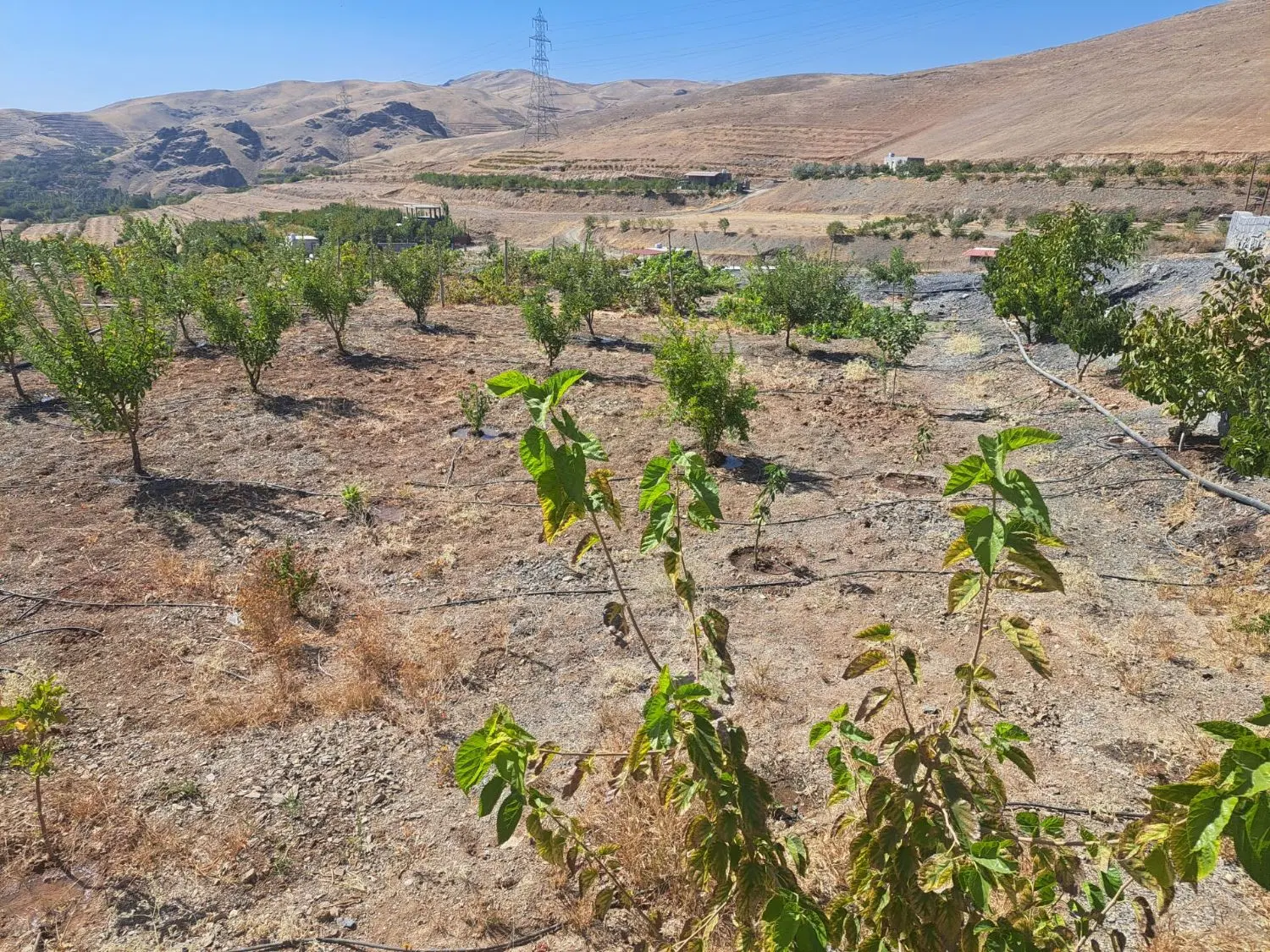 زمین ویلای برازان