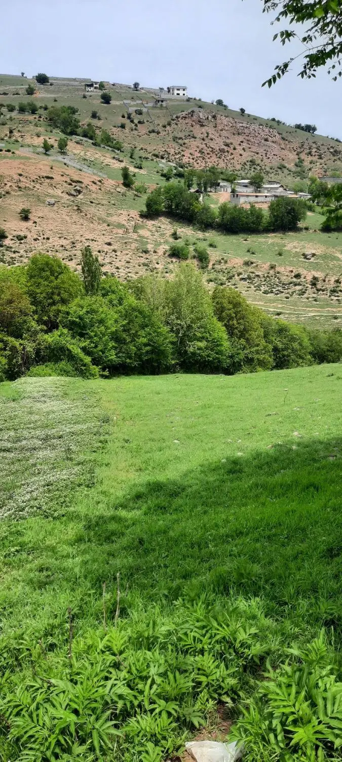زمین کلارشت کف قیمت