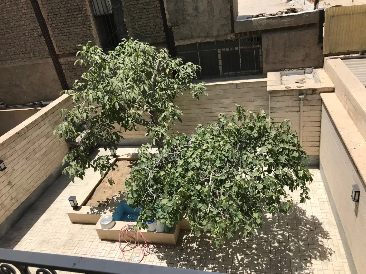 اجاره آپارتمان