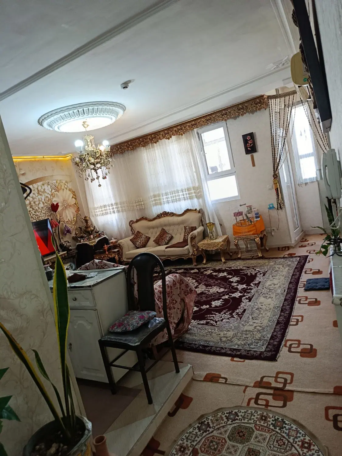 دلجویی 81 متری دو کله