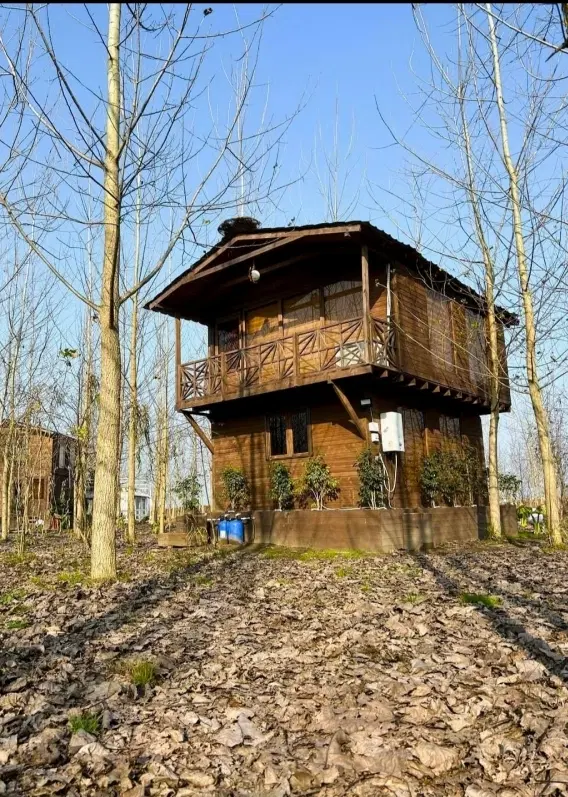 ساخت شاهکار معماری چوبی