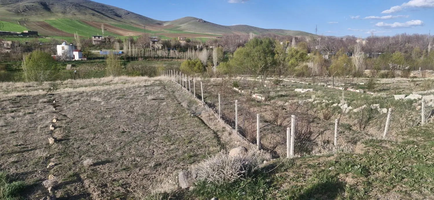 فروش زمین باغ