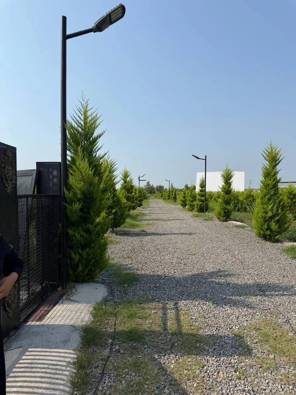 کلبه سوئیسی سندتک برگ قیمت کل ۳_۵