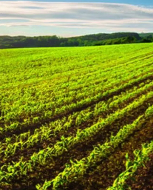 زمین شهرک