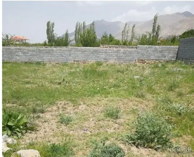 زمین کشاورزی