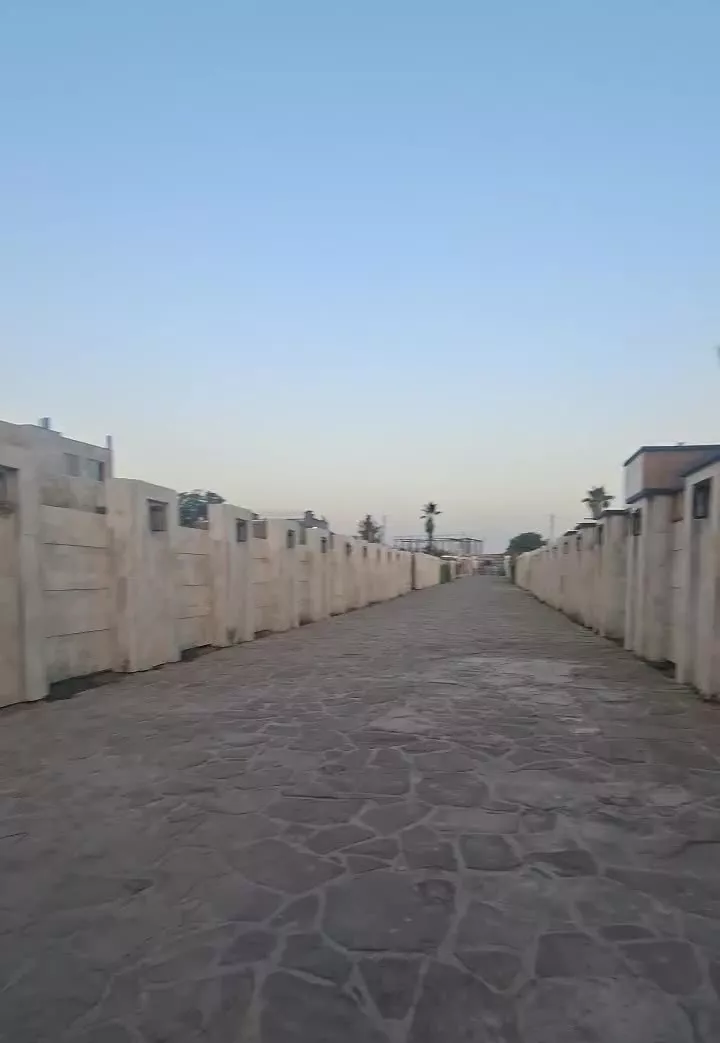 ۳۵۰ متر زمین سند تک برگ