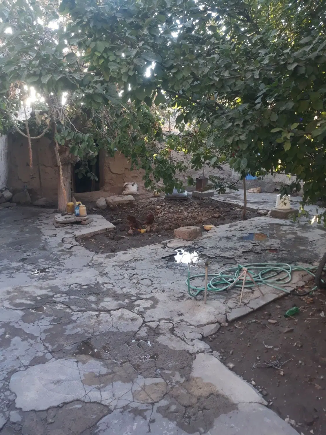 خانه کلنگی