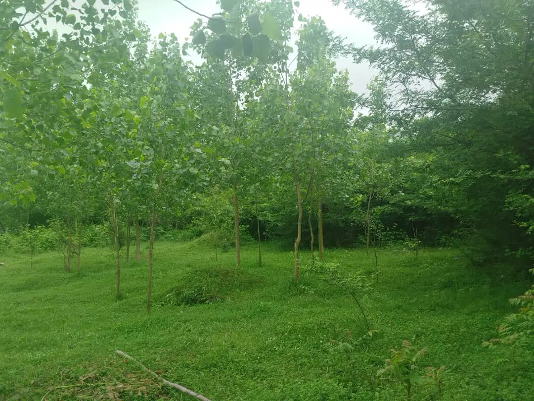 زمین مسکونی