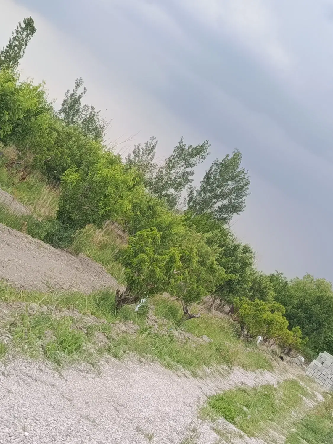 باغچه آب و برق