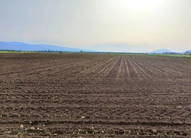 زمین کشاورزی مناسب کِشت خانه باغ سیلو پارکینگ