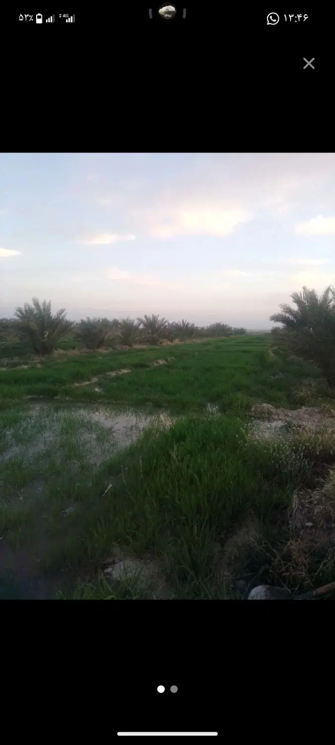 فروش زمین ۱۰۰۰متری شهردراز