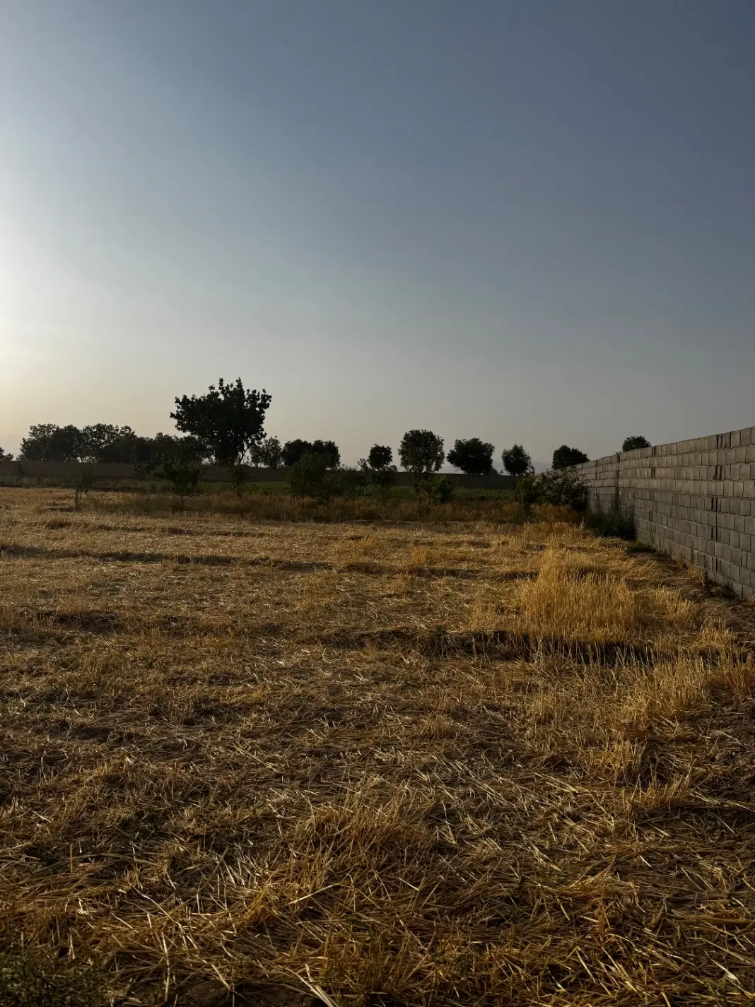 فروش زمین کشاورزی