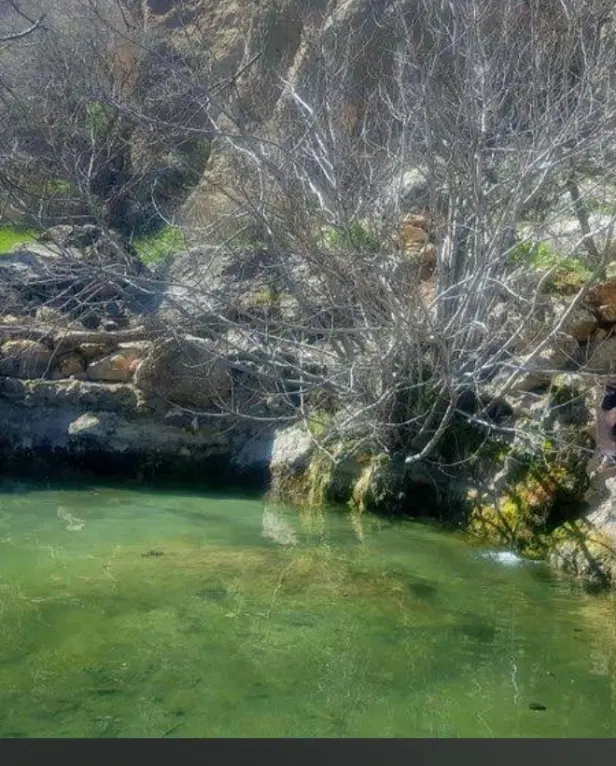 باغ برای فروش