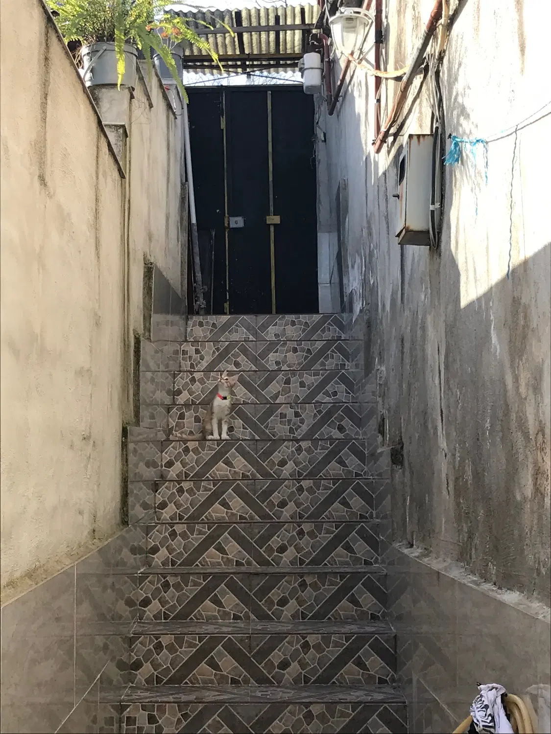 خانه ویلایی ۵۵ متری