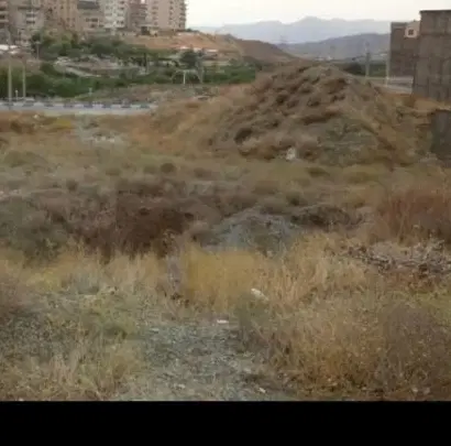 زمین مسکونی
