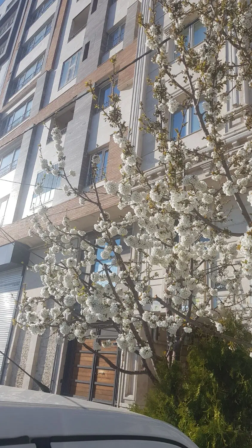 ساحل دریاچه شورابیل