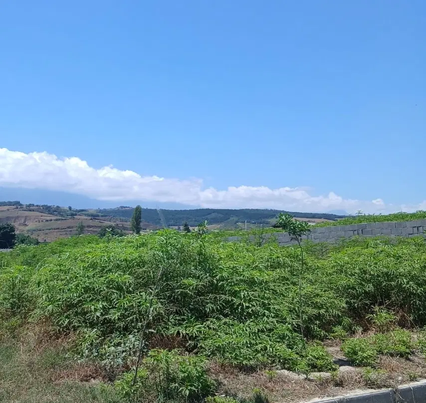 زمین ۹۵متری چناران ۳۴