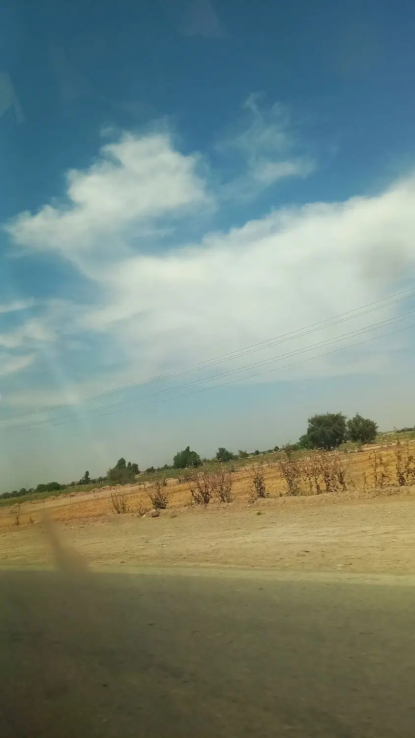 زمین کوی زیتون