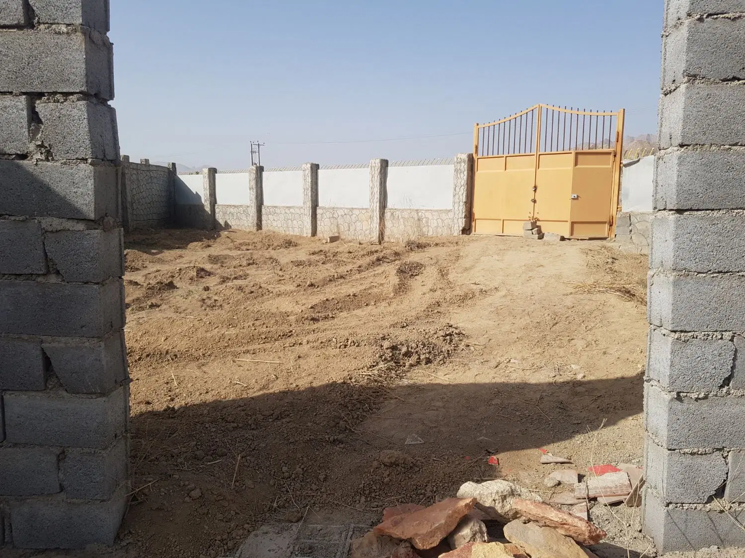 زمین کشاورزی باغ