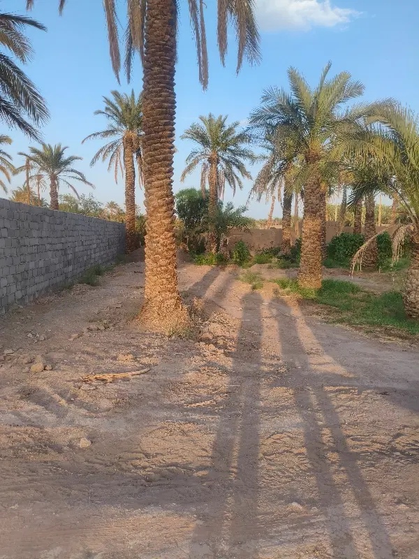10قصب زمین بروات