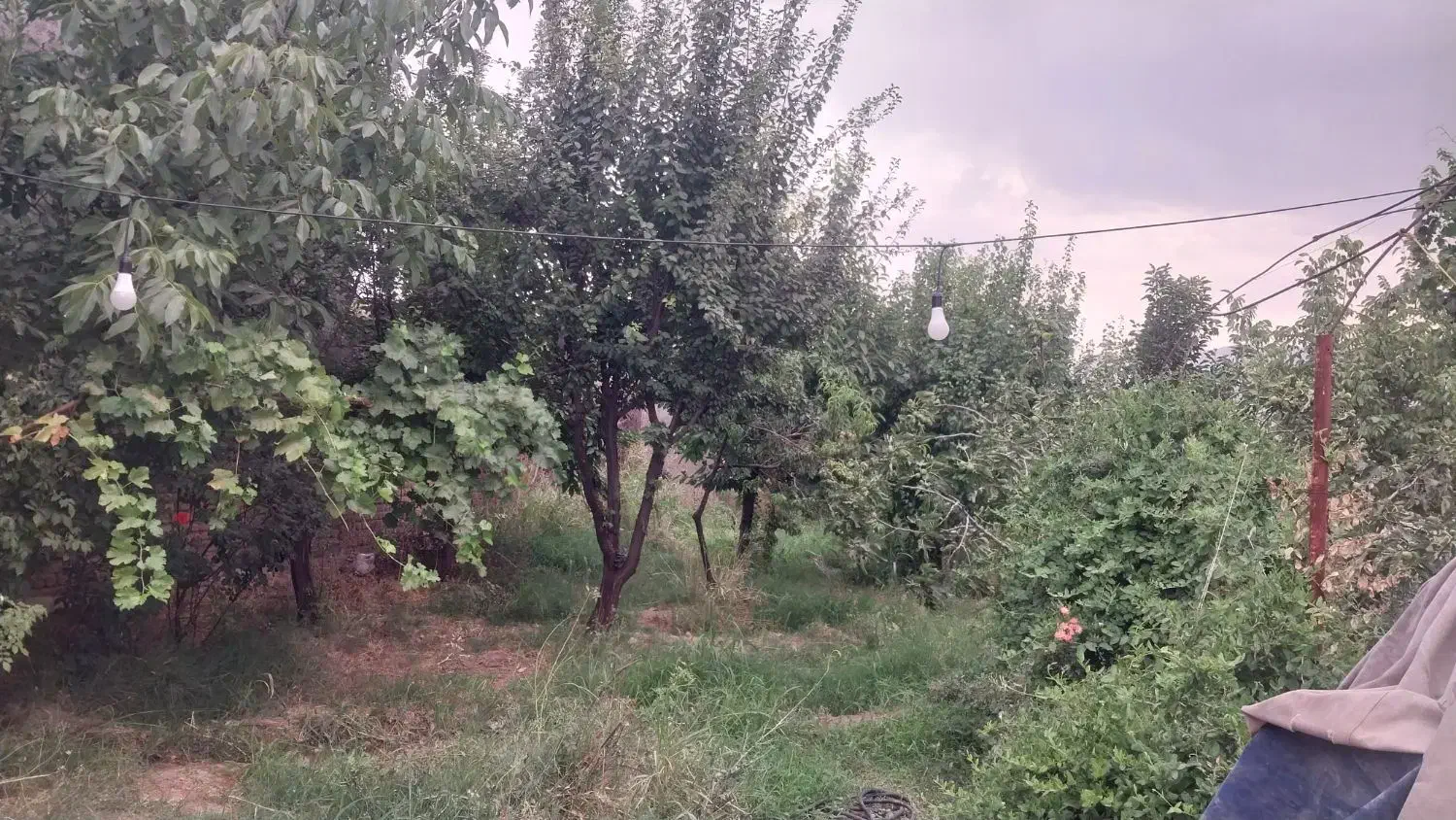 زمین طرح هادی روستای ترشاب