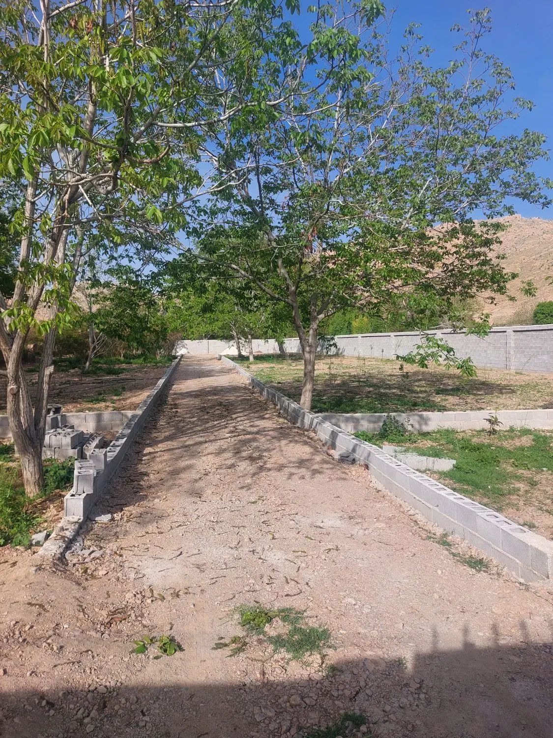 زمین  پشت پارک پتروشیمی