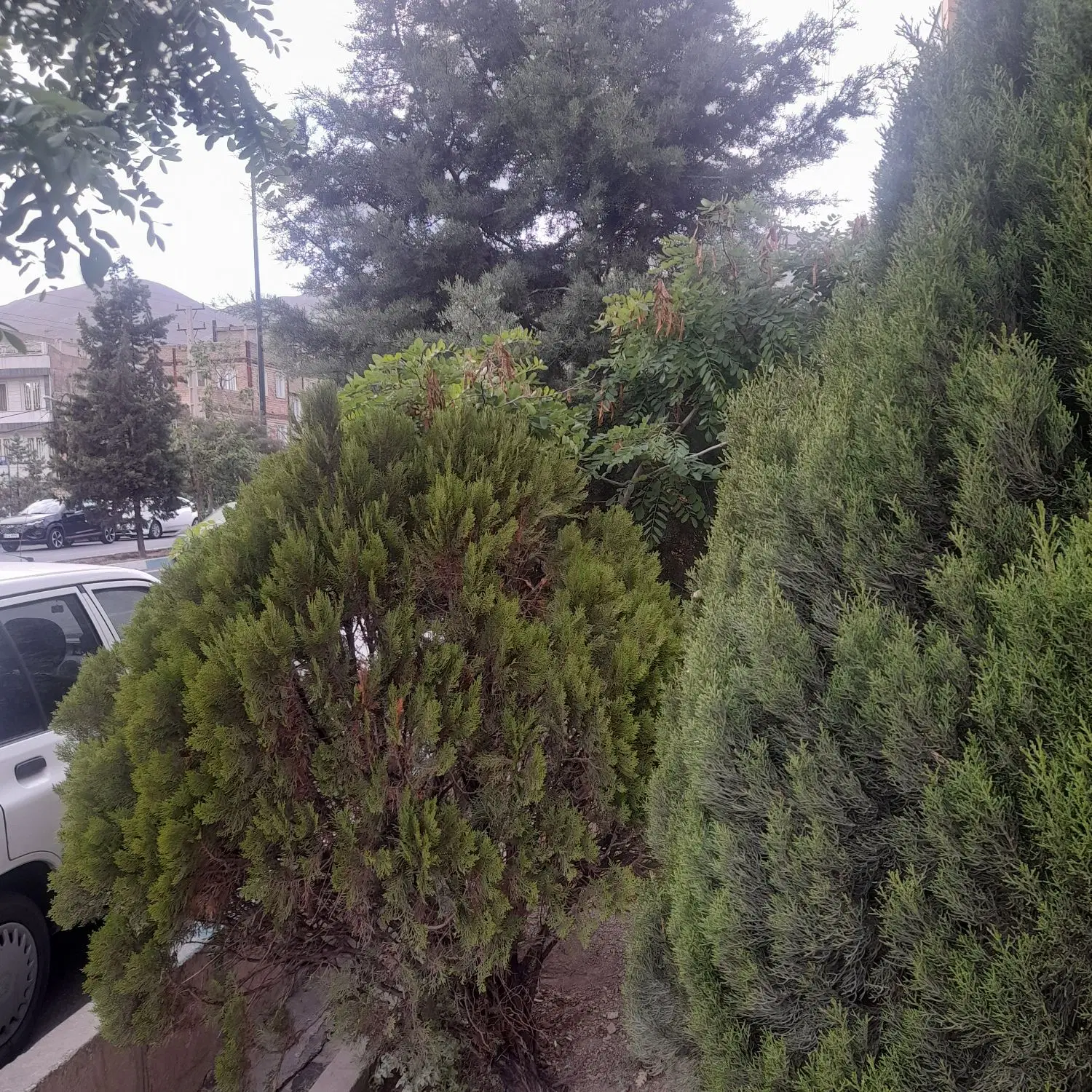 آپارتمان ۷۵متری یک خوابه لوکس