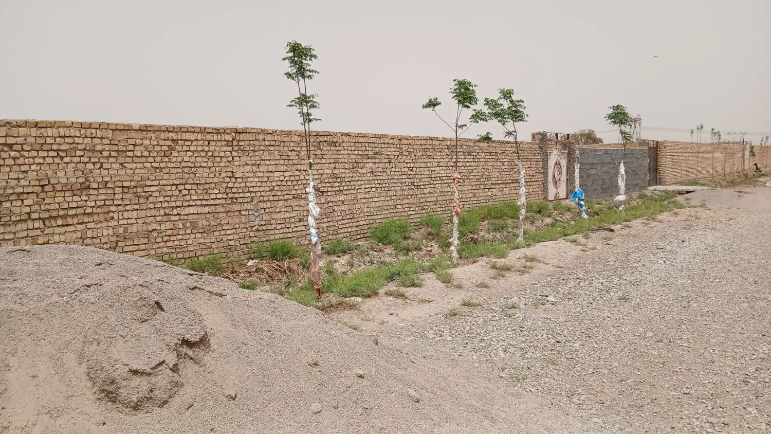 زمین باغچه دامداری