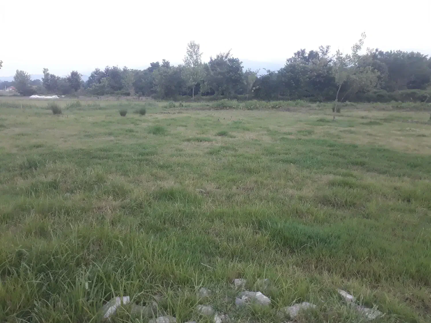 ۳۱۱ متر زمین خارج از محدوده