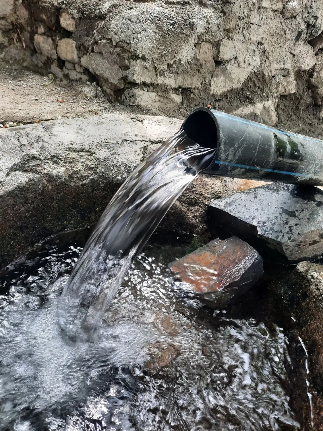 باغ درزشک