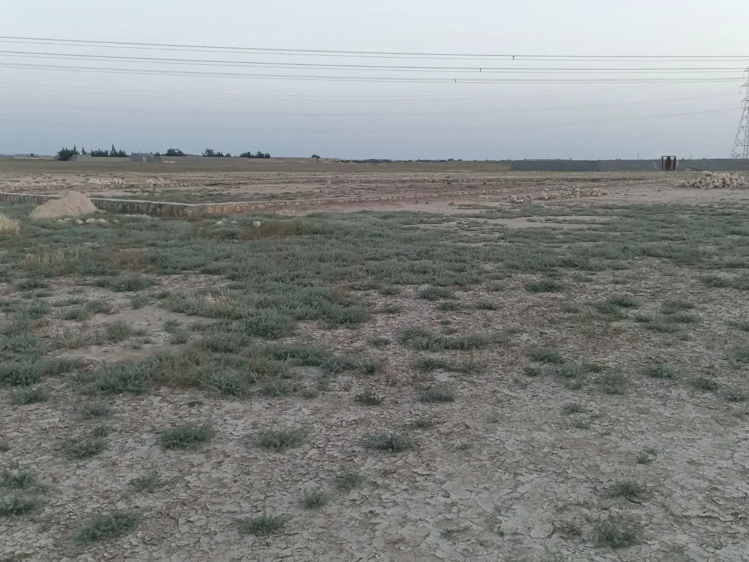 فروش زمین باغی