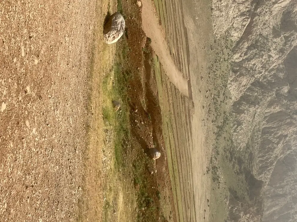 زمین ۲۰۰متری طرح جوانی جمعیت