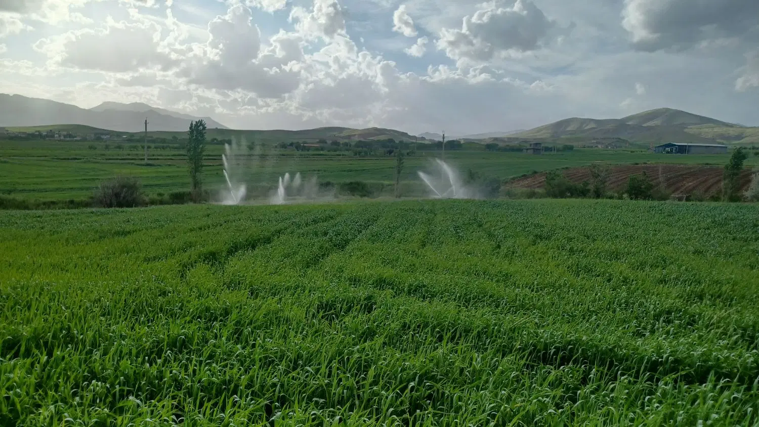 زمین جهت باغ آبی چاهو برق دو کیلومتری کامیاران