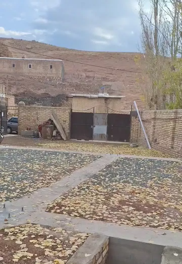 هم خونه