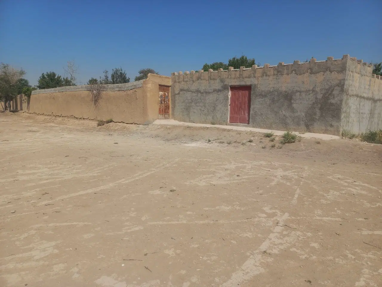 زمین کشاورزی