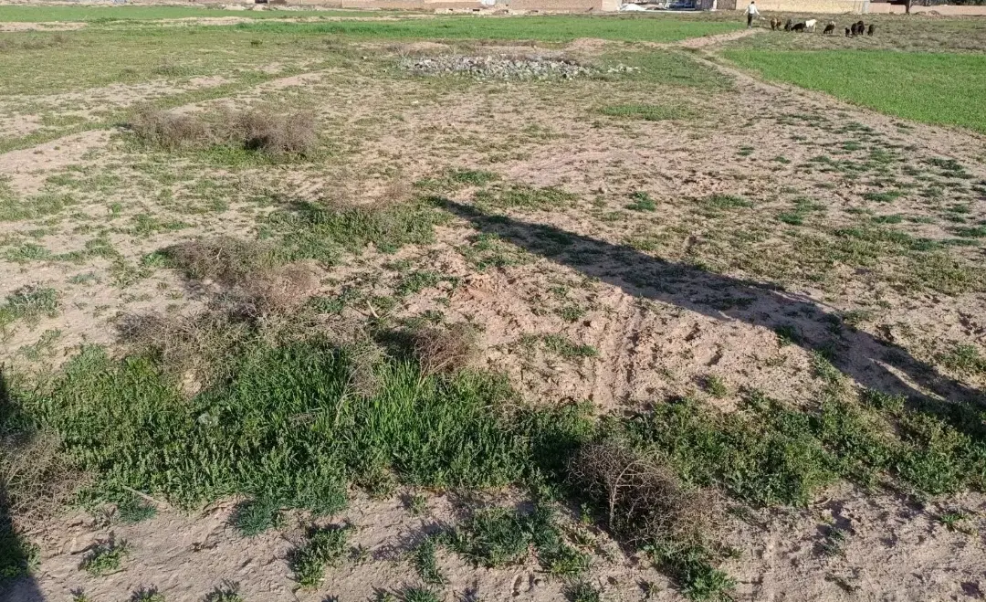 زمین کشاورزی همراه آب
