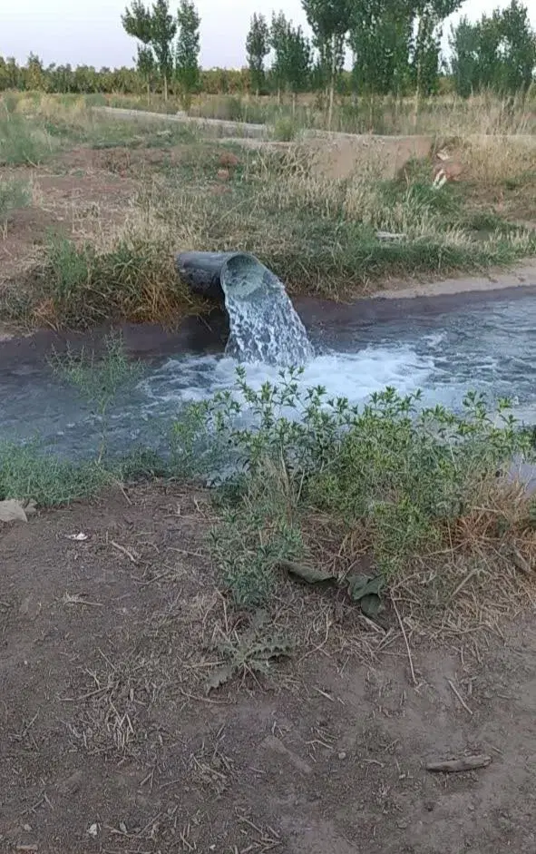 باغ بادام با باردهی اقتصادی