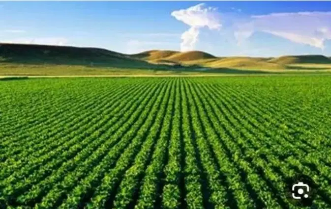 زمین ،باغ،کشاورزی،