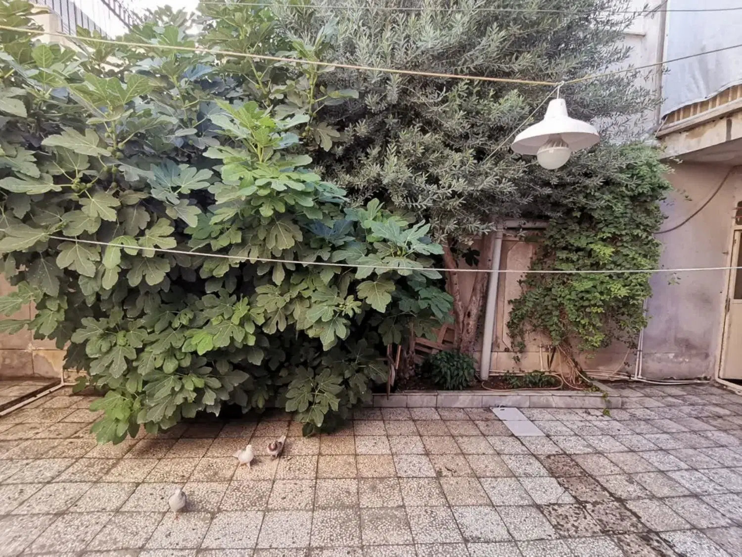 فروش خانه ویلایی 2 طبقه