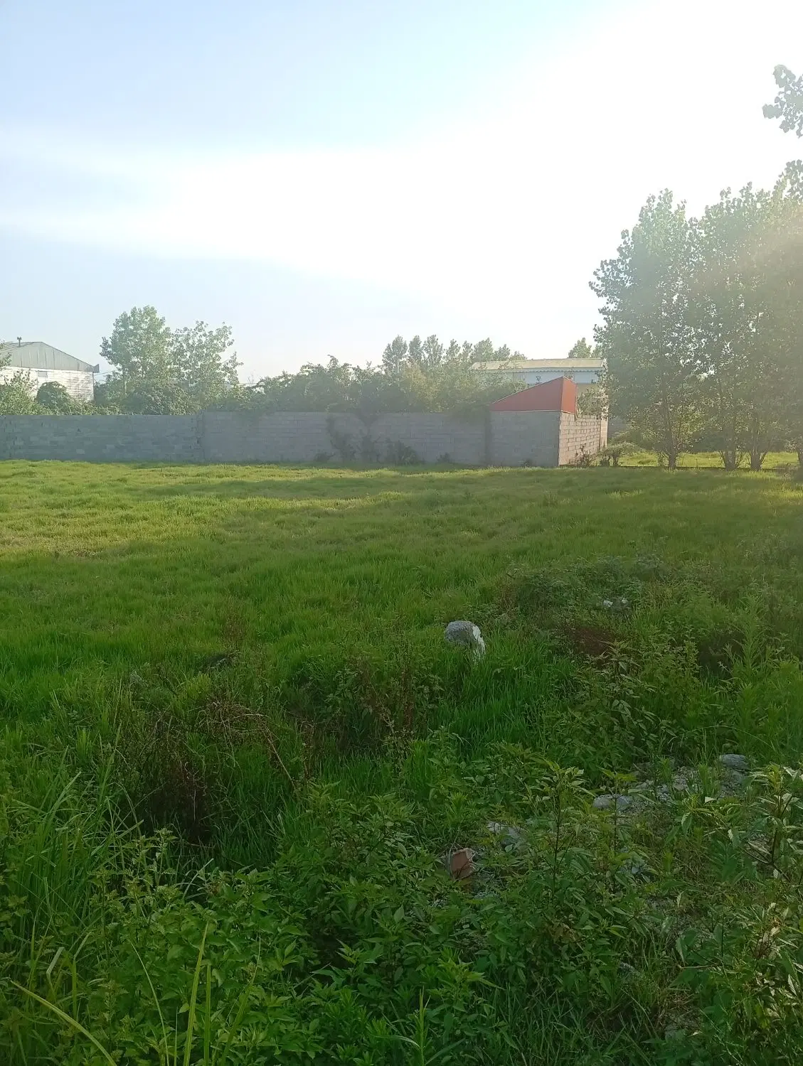 زمین مسکونی