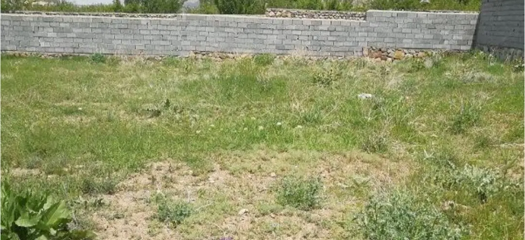 زمین مسکونی شهر پالیز