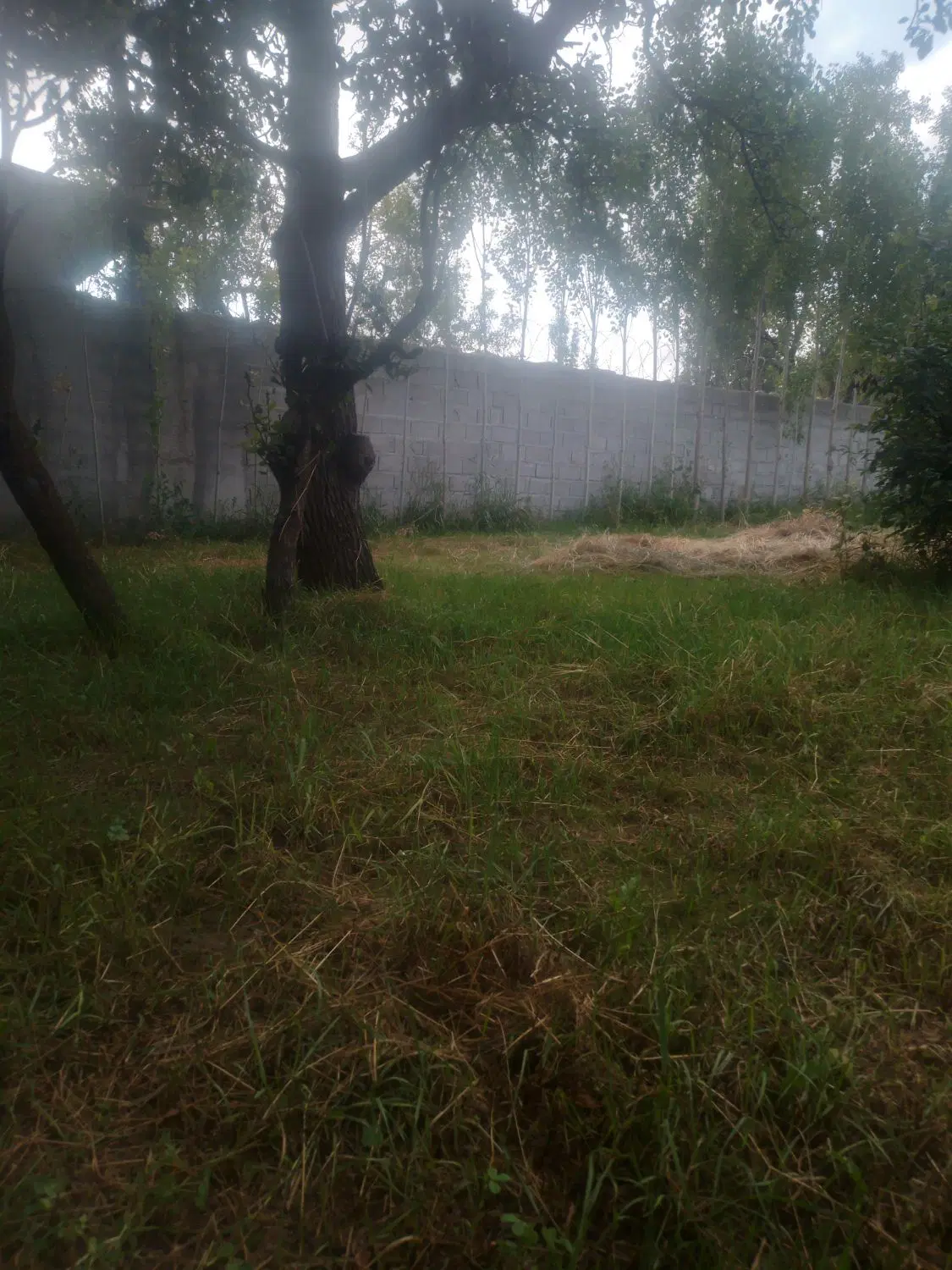 فروش زمین مسکونی آستارا